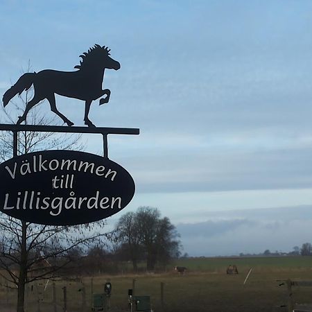 Laegenhet Lillisgarden ξενώνας Vallåkra Εξωτερικό φωτογραφία