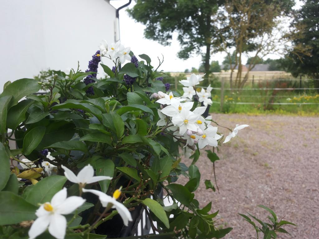 Laegenhet Lillisgarden ξενώνας Vallåkra Εξωτερικό φωτογραφία