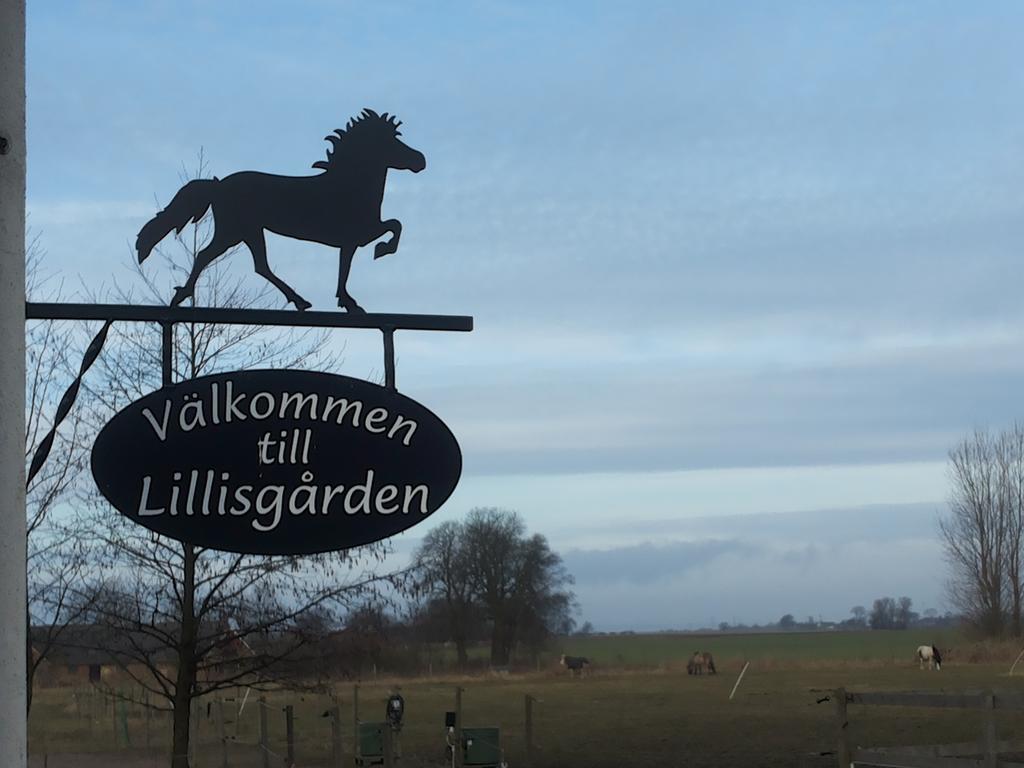 Laegenhet Lillisgarden ξενώνας Vallåkra Εξωτερικό φωτογραφία